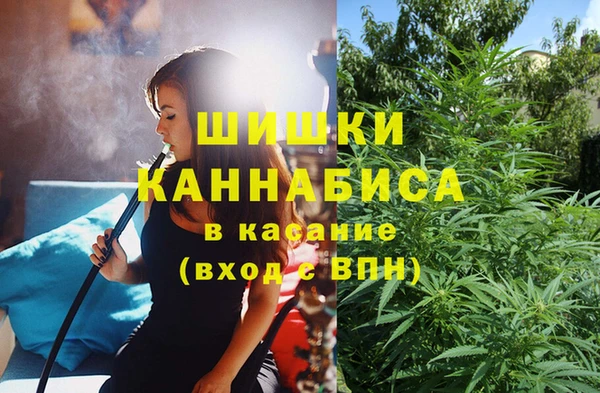 Альфа ПВП Аркадак