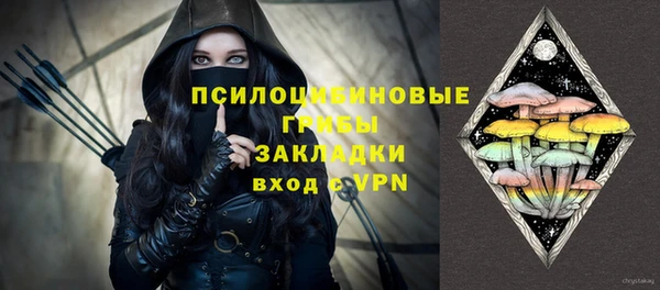 прущий лед Алексин